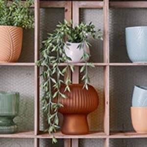 Vases & Containers